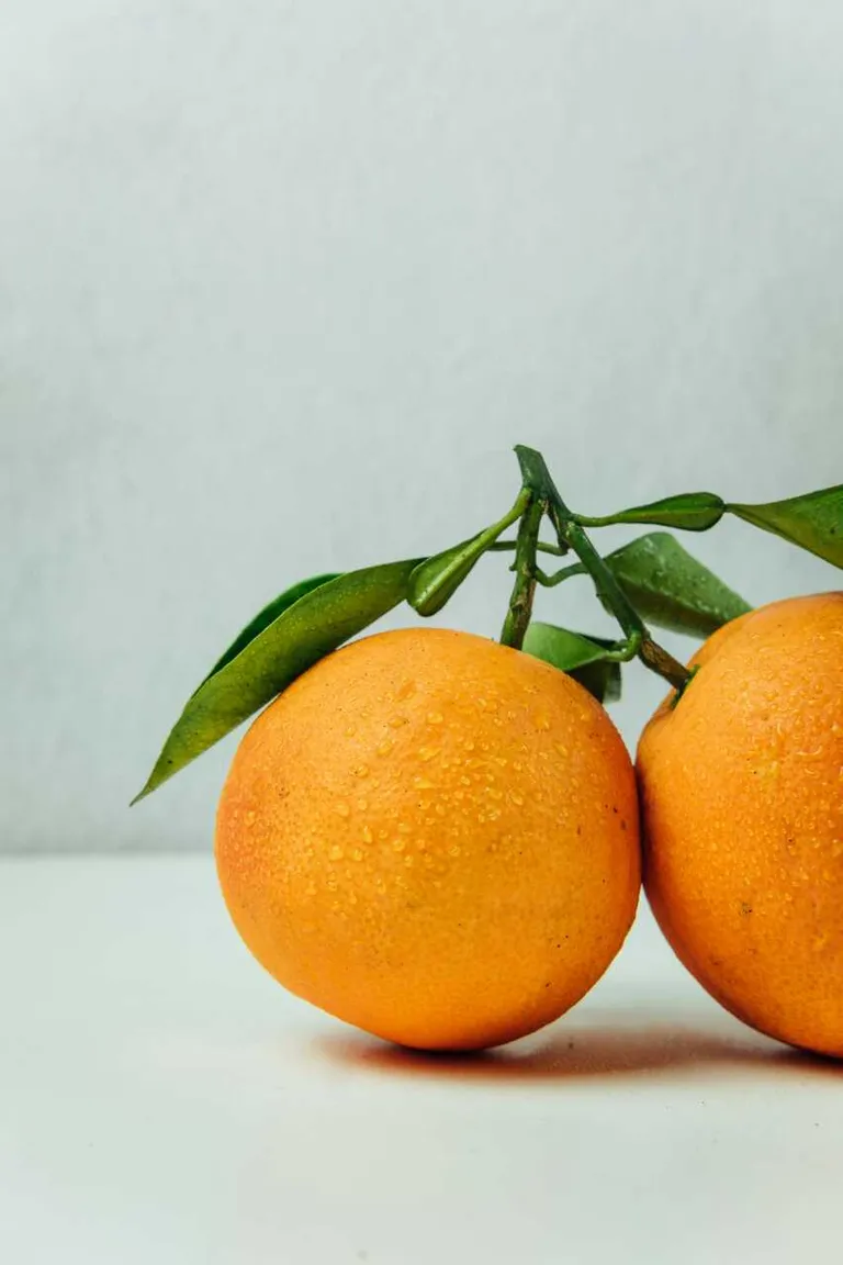 Arancio: cura secondo le fasi lunari