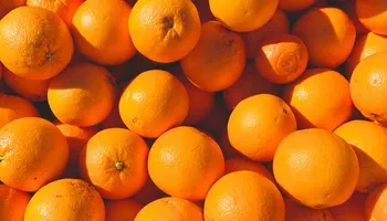 Pianta di arancio