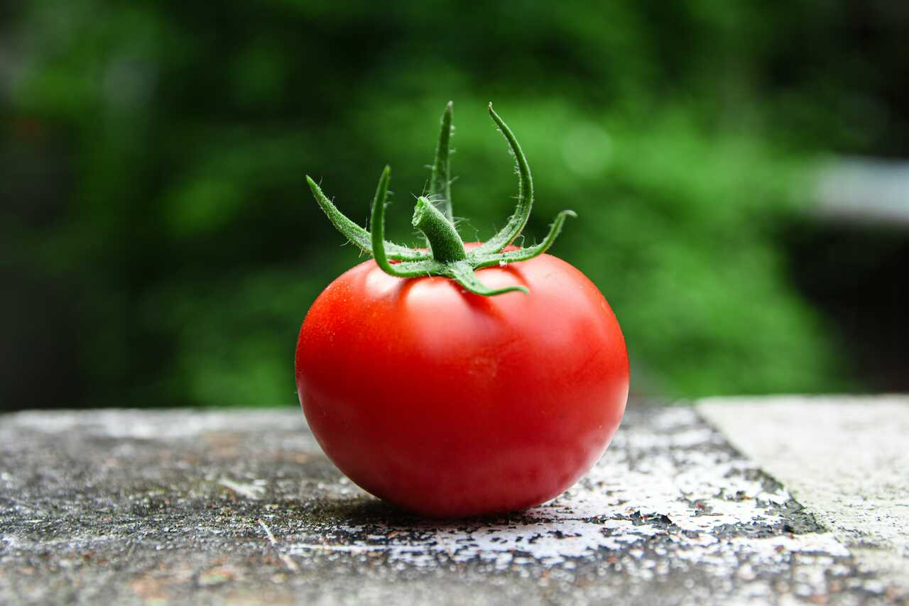 Pomodoro